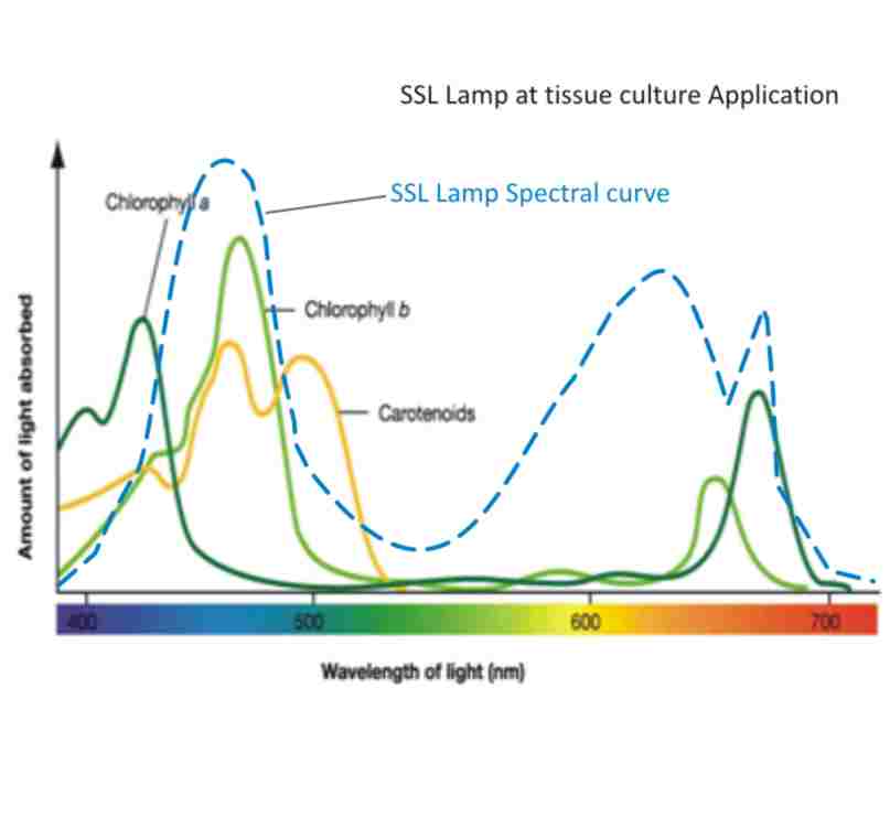 Light Spectrum Chart For Plants